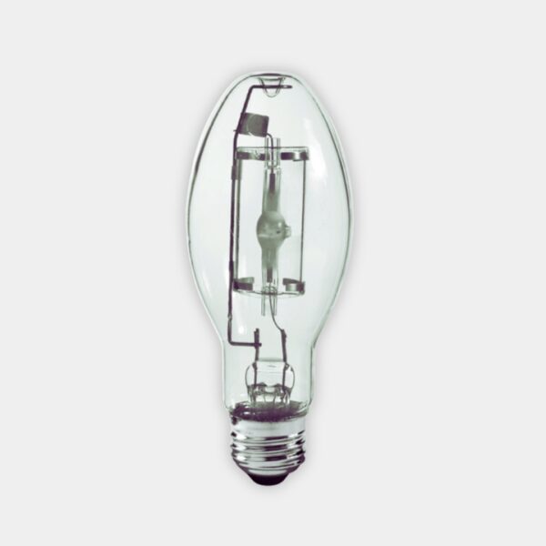 Replacement Bulb