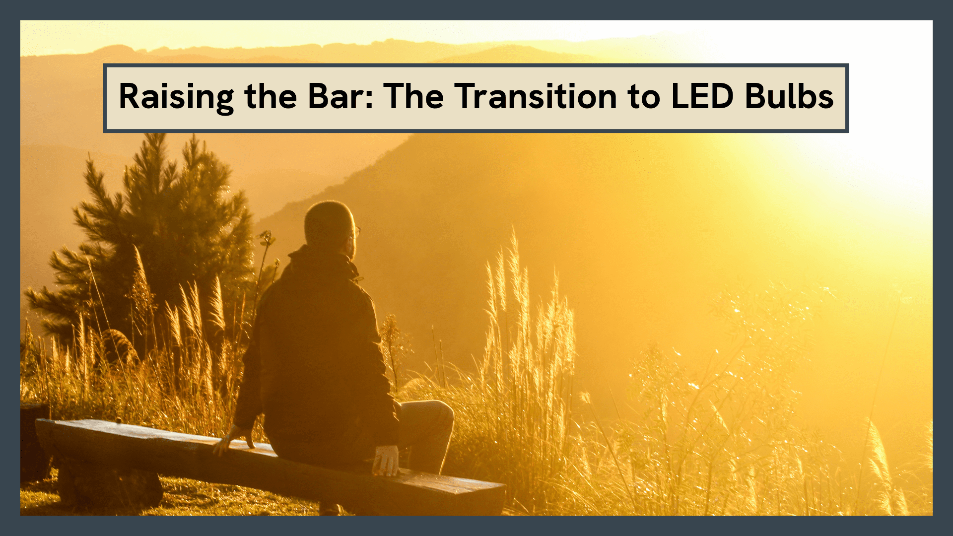 Raising the Bar: The Transition to LED Bulbs